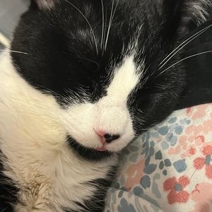 Meet your Posher, Chloe